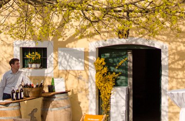 Frühlingshafter Weingenuss, © Weinviertel Tourismus / Bartl