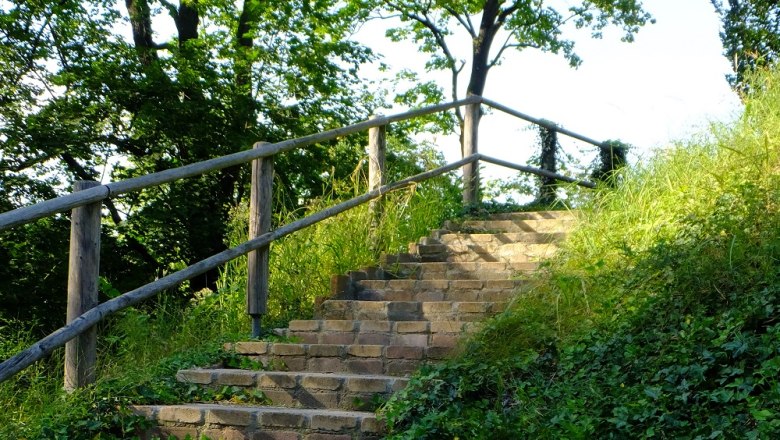Stone staircase surrounded by greenery with wooden railings, surrounded by trees and ivy.