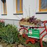 Ein rotes Fahrrad mit Blumenkasten steht vor einem Gebäude mit Garten.