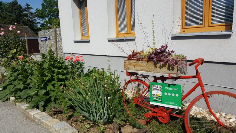 Weinbauernhof Wiesinger, © Weinbau Wiesinger Ein rotes Fahrrad mit Blumenkasten steht vor einem Gebäude mit Garten.