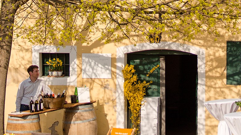 Frühlingshafter Weingenuss, © Weinviertel Tourismus / Bartl