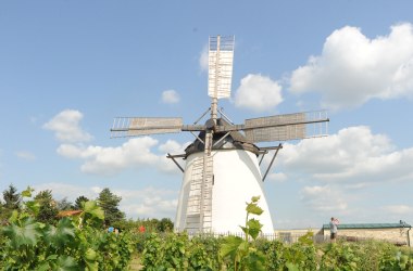 Retzer Windmühle, © Weinstraße Weinviertel West / Schleich