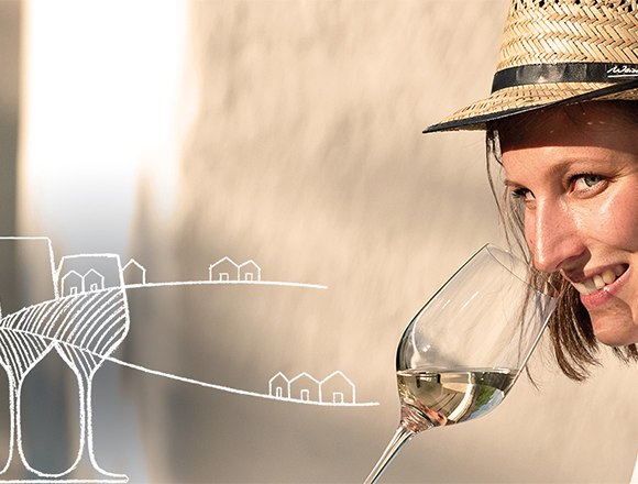 Weintour Weinviertel, &copy; Michael Himml